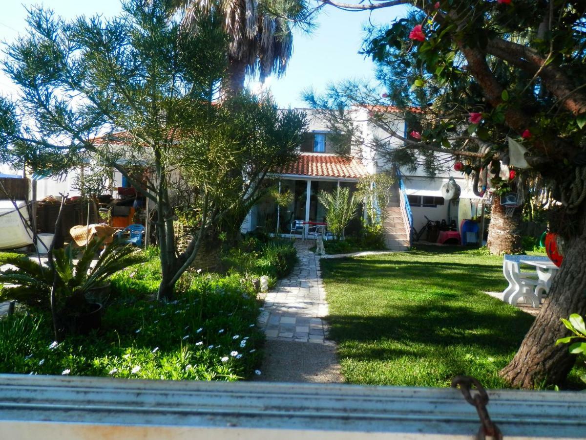 Casa Das Palmeiras Aljezur Exteriör bild